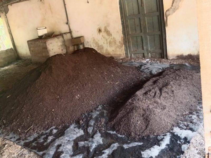Finished, sieved vermicompost ready for bagging