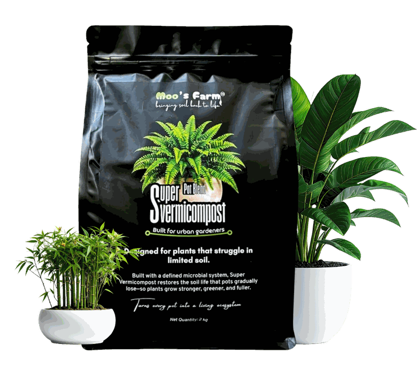 Super Vermicompost 2kg pack with houseplants